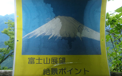 富士山展望