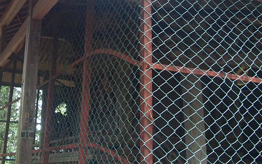 青渭神社奥ノ院
