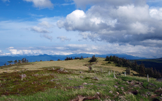 双子山山頂