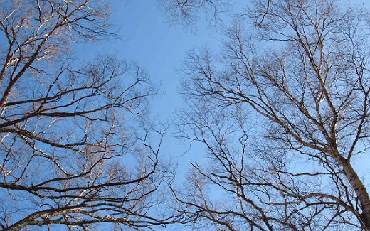 空