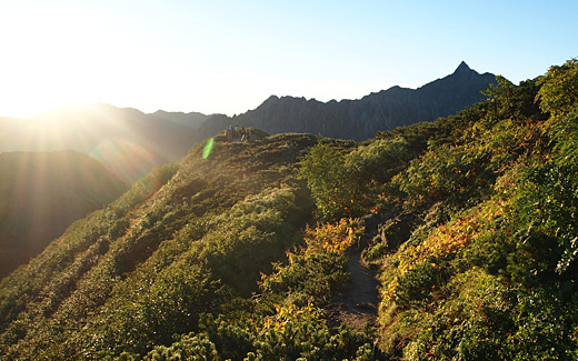 朝日を浴びた登山道