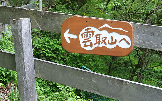 雲取山へ