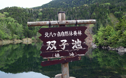 双子池雌池