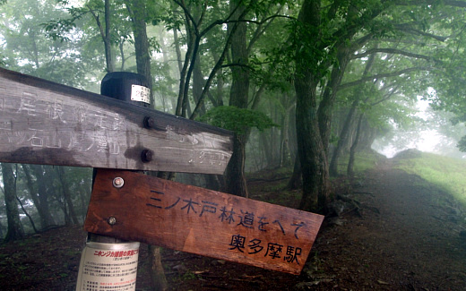 三ノ木戸山分岐