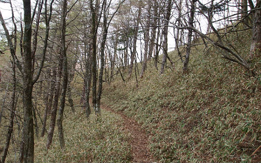 飛龍山