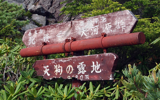 天狗の露地