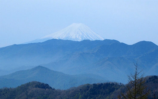 富士山