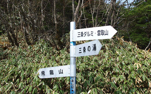 北天のタル