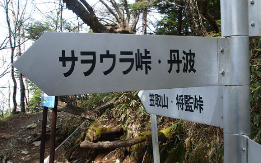 飛竜権現