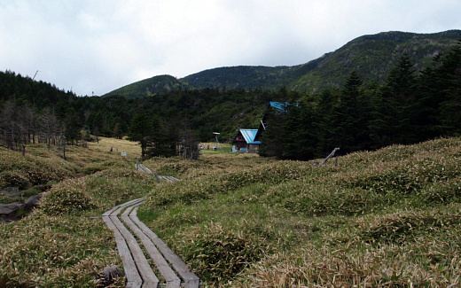 縞枯山荘と自然