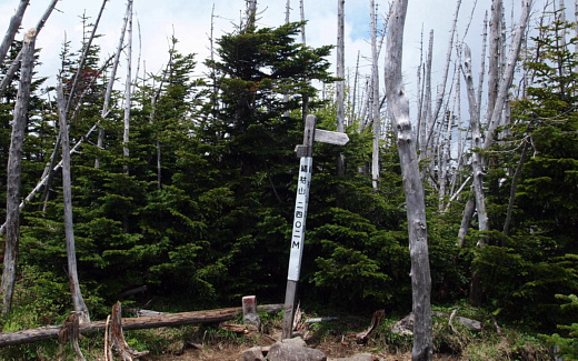 縞枯山山頂