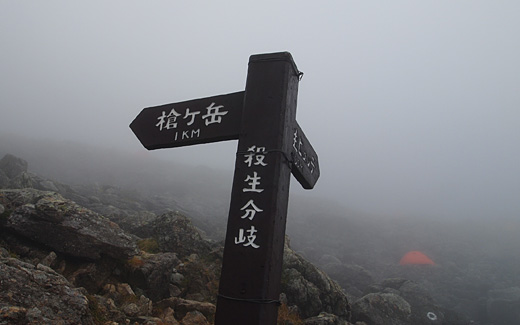 殺生分岐
