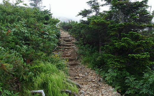 下山開始