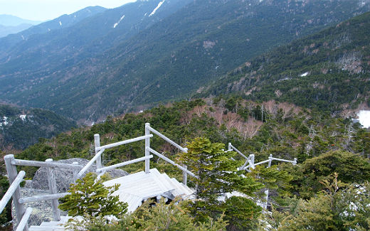 夢の庭園からの眺め