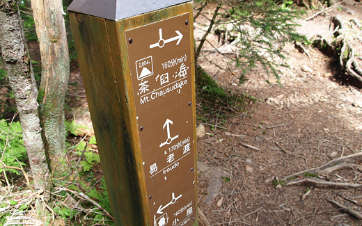 易老岳
