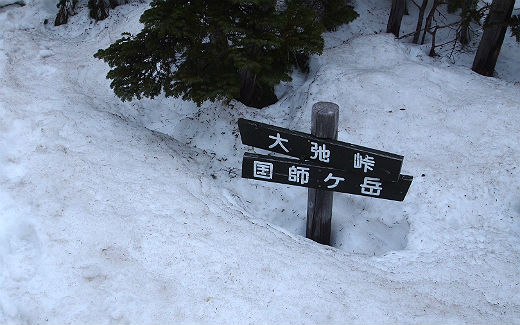 北奥千丈岳の分岐
