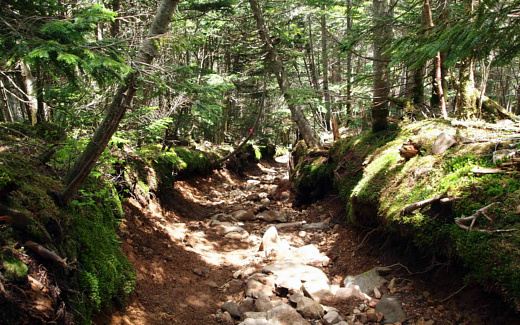 麦草峠
