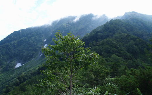 鹿島槍ヶ岳