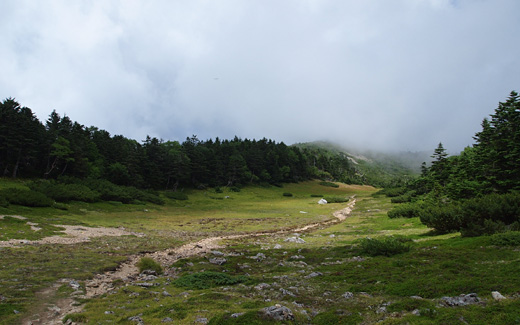 平坦な登山道