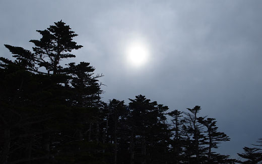 曇り空