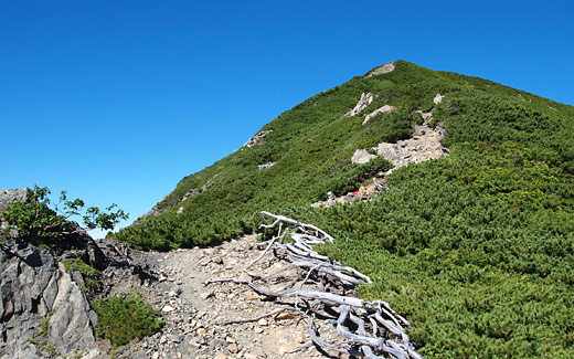 兎岳避難小屋を登る