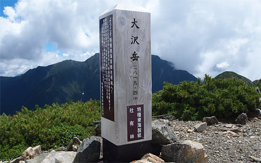 大沢岳到着