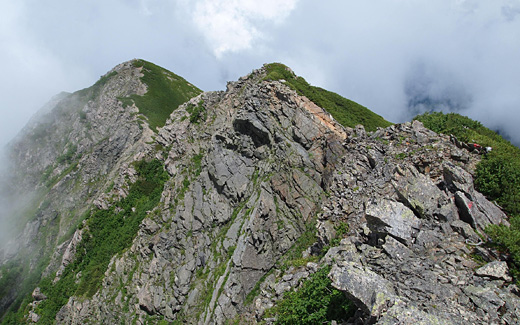 大沢岳の北斜面