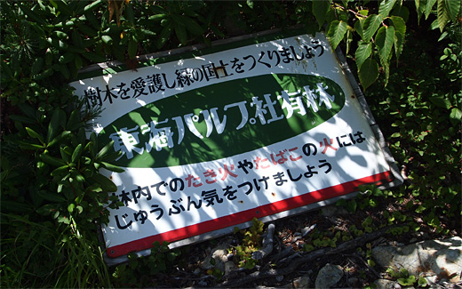 東海パルプ社有林