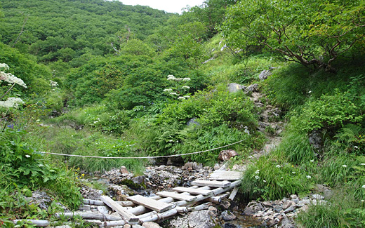 テント場まで小川沿いを登る