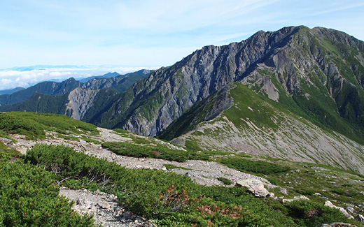 小赤石岳の肩
