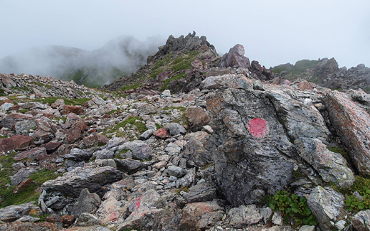 悪沢岳山頂から丸山へ
