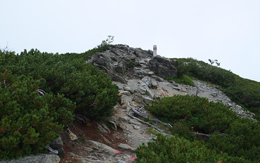 もうすぐ千枚岳山頂