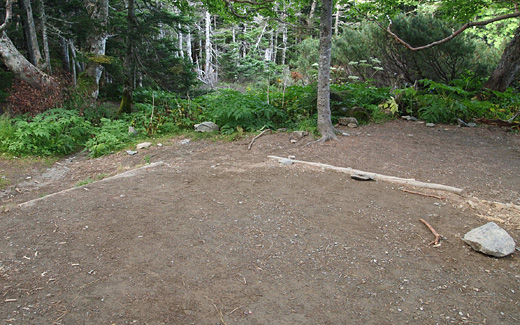 高山裏避難小屋のテント場