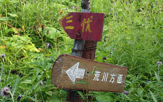 高山裏避難小屋から三伏峠を目指す