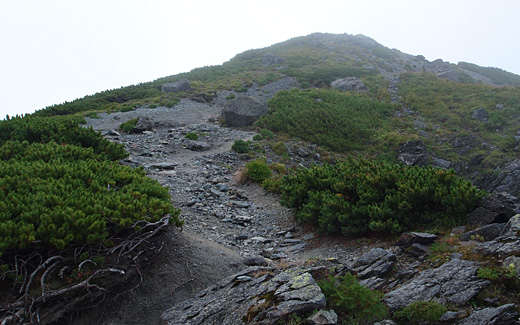 西峰が見える