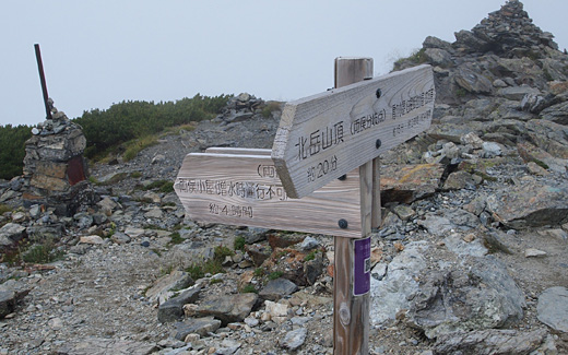 左俣沢分岐
