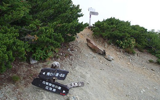 小太郎山