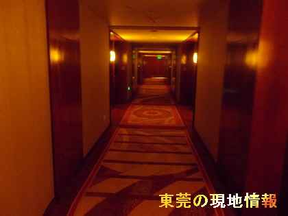 欧亜1081-1