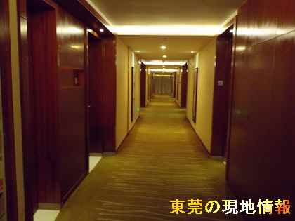 IMGP0936-1.jpg