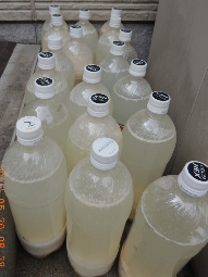 乳酸液1