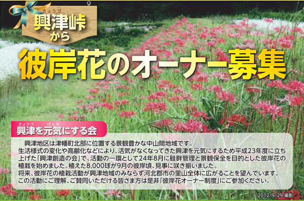 興津峠から彼岸花のオーナー募集中! 興津峠から彼岸花のオーナー募集中!