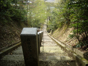 上から見た倶利伽羅神社の石段 上から見た倶利伽羅神社の石段
