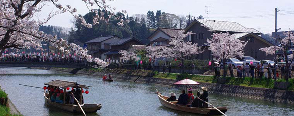 屋形船が行き交う桜満開の能瀬川 屋形船が行き交う桜満開の能瀬川