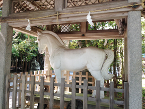 大野湊神社の神馬 大野湊神社の神馬