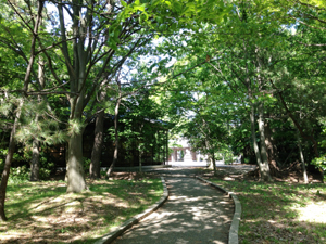 静寂に包まれた大野湊神社境内 静寂に包まれた大野湊神社境内