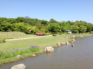 大野湊神社裏手の大野湊緑地公園 大野湊神社裏手の大野湊緑地公園
