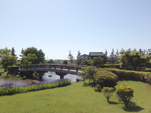 大野湊神社裏手の大野湊緑地公園 大野湊神社裏手の大野湊緑地公園