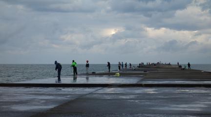 DSC00991.jpg
