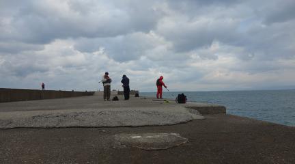 DSC00993.jpg