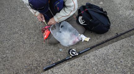 DSC00995.jpg